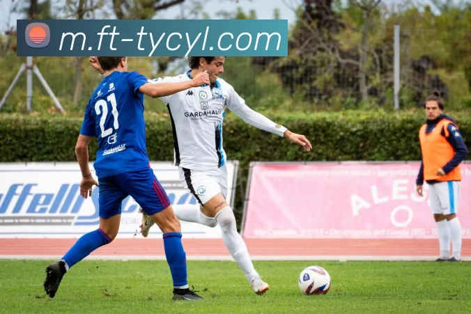 澳门太阳城品牌故事